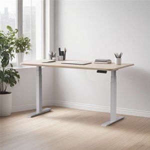 3 Stage Height Adjustable Table (Double Motor )