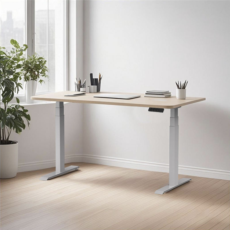 3 Stage Height Adjustable Table (Double Motor )